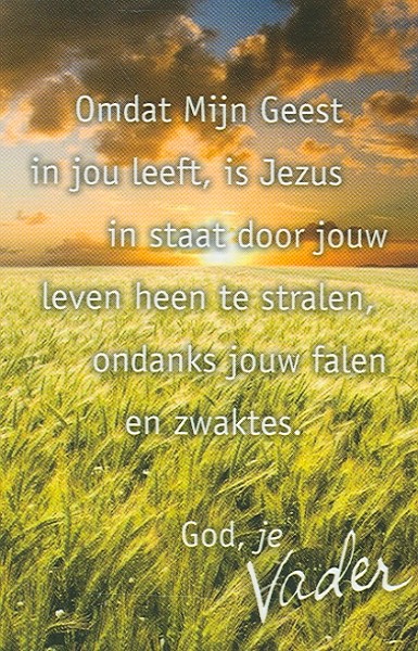 Productafbeelding: voorkant van Minikaart vhk omdat Mijn Geest in jou