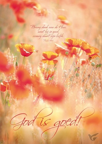 Productafbeelding: voorkant van Poster A3 God is goed