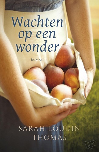 Productafbeelding: voorkant van Wachten op een wonder