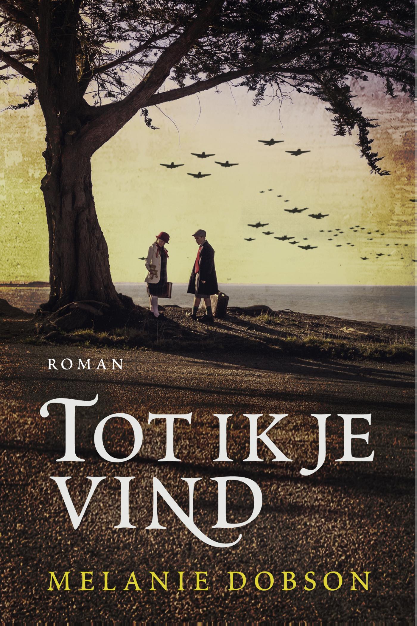 Productafbeelding: voorkant van Tot ik je vind