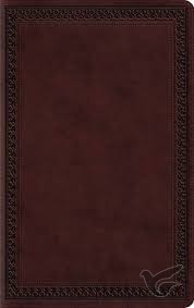 Productafbeelding: voorkant van ESV - LP Value Thinline Bible