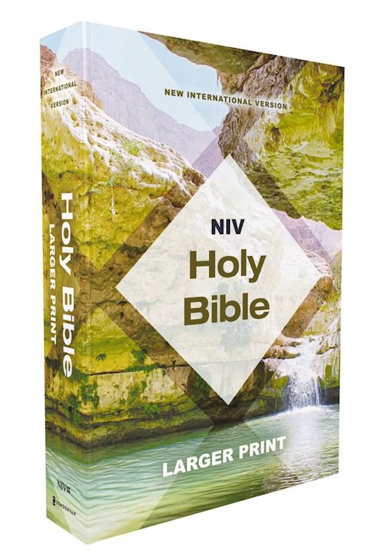 Productafbeelding: voorkant van NIV Economy Holy Bible/Larger Print (Comfort Print)-Teal/Tan Paperback