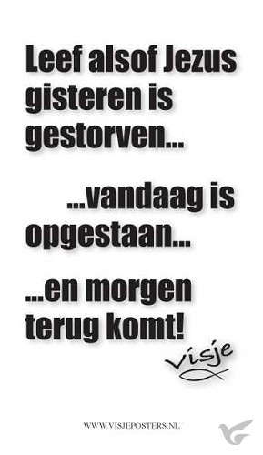 Productafbeelding: voorkant van Minikaart visje leef alsof Jezus gist...