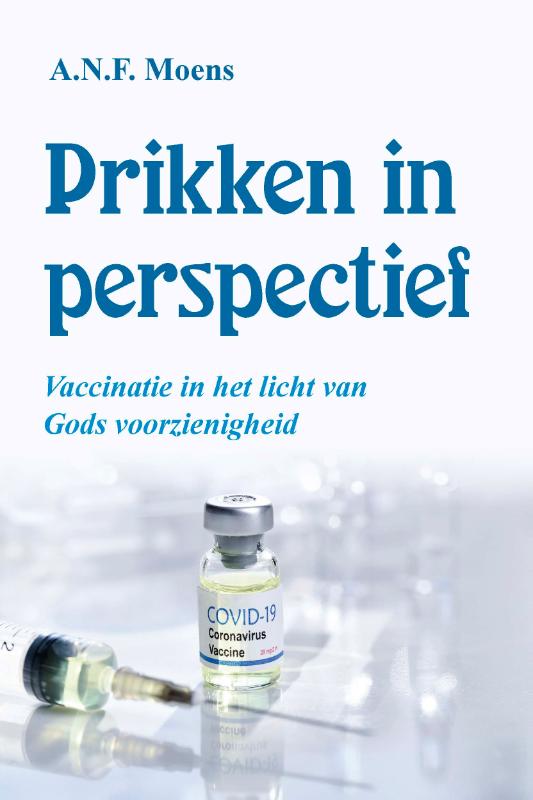 Productafbeelding: voorkant van Prikken in perspectief