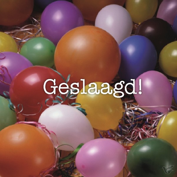 Productafbeelding: voorkant van Kaart geslaagd ballonnen