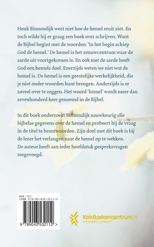 Productafbeelding: achterkant van Hoe ziet de hemel eruit?