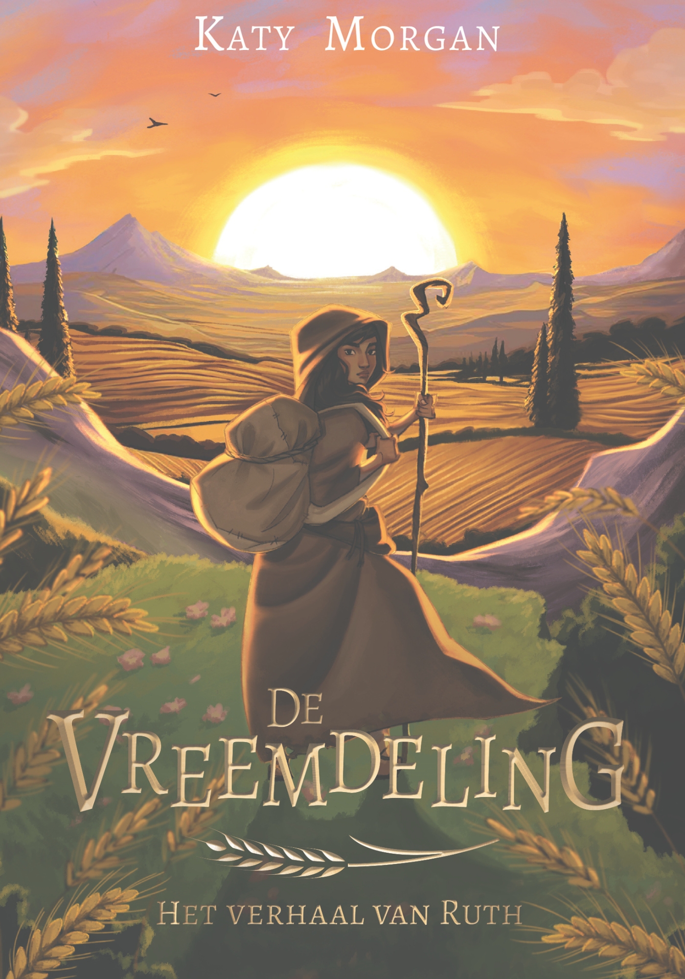 Productafbeelding: voorkant van De vreemdeling