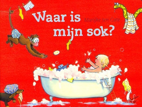 Productafbeelding: voorkant van Waar is mijn sok kartonboek