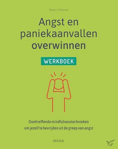 Productafbeelding: voorkant van Angst en paniekaanvallen overwinnen