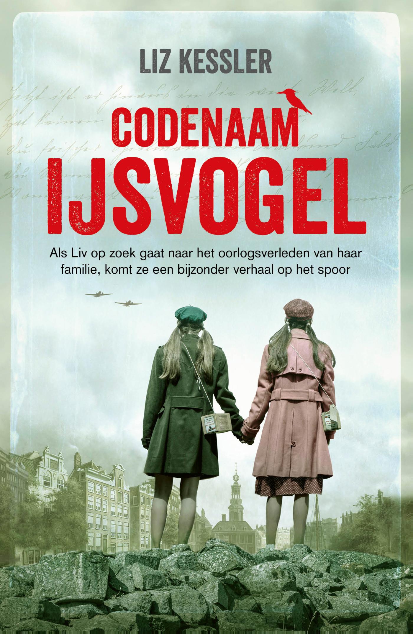 Productafbeelding: voorkant van Codenaam IJsvogel