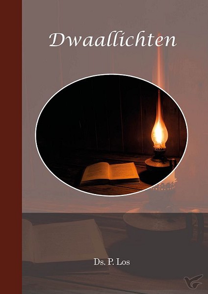 Productafbeelding: voorkant van Dwaallichten