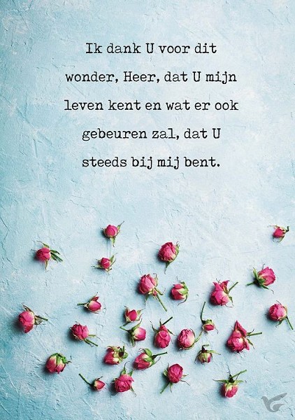 Productafbeelding: voorkant van Wenskaart Ik dank U voor dit wonder Heer