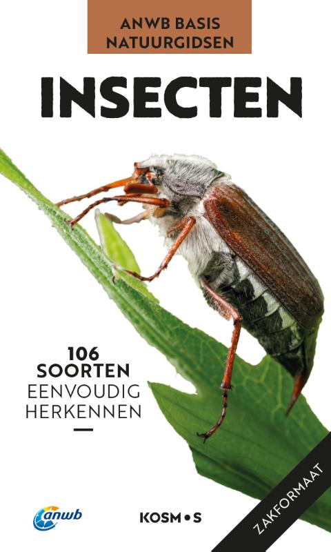 Productafbeelding: voorkant van ANWB Basis natuurgids - Insecten