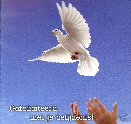 Productafbeelding: voorkant van Kaart gefeliciteerd met belijdenis duif