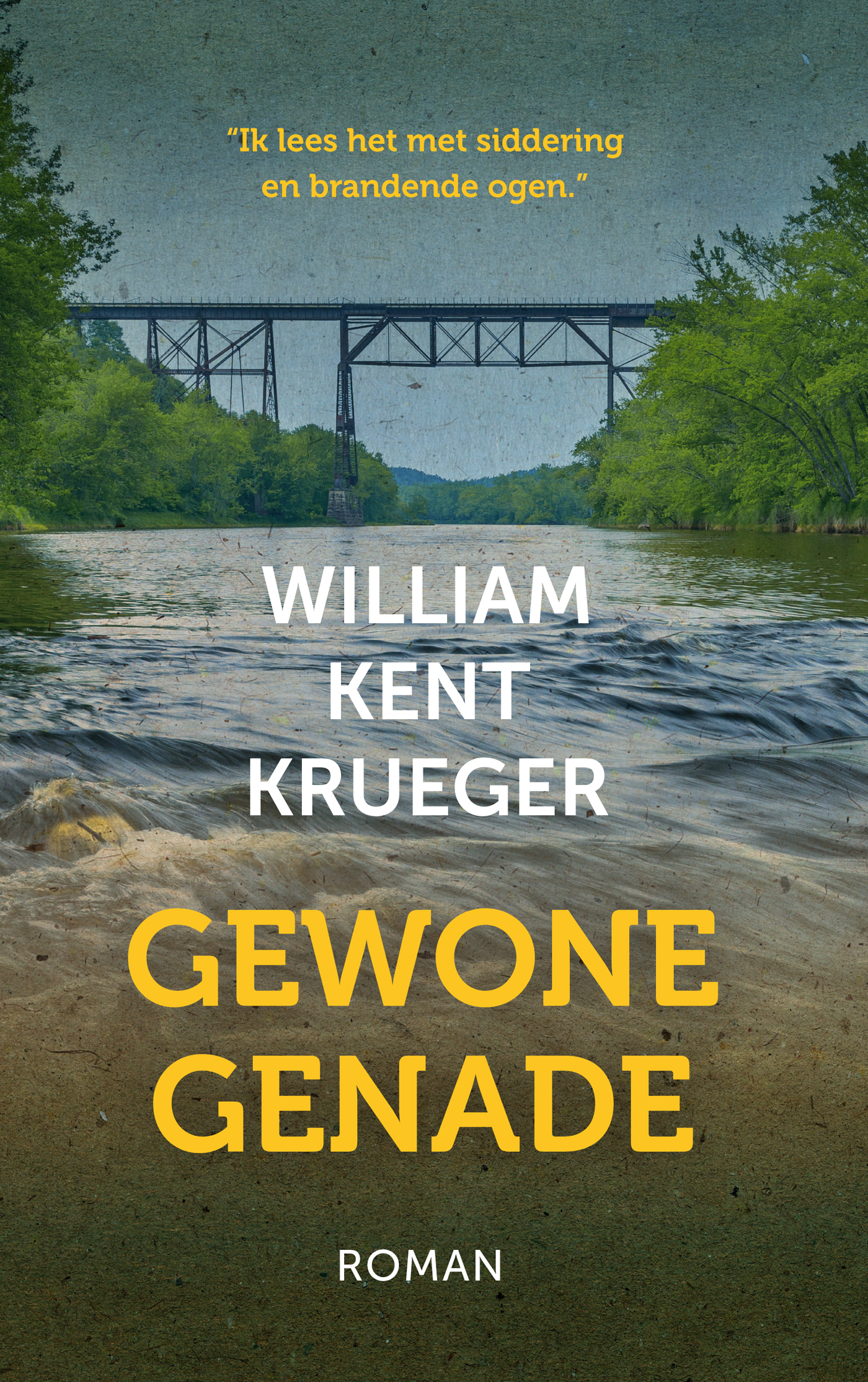 Productafbeelding: voorkant van Gewone genade
