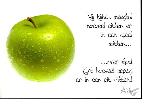 Productafbeelding: voorkant van Prentbriefkaart wij kijken meestal hoeve