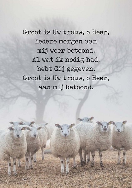 Productafbeelding: voorkant van Wenskaart Groot is uw trouw o Heer