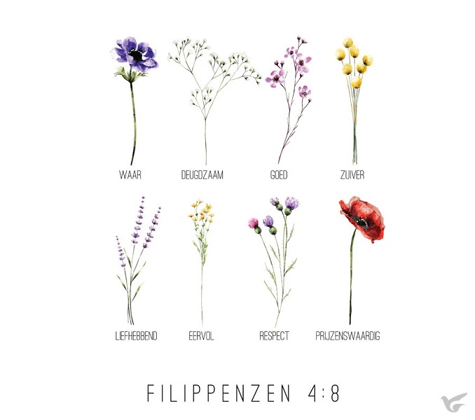 Productafbeelding: voorkant van Fil.4:8 Doe wat nobel is.
