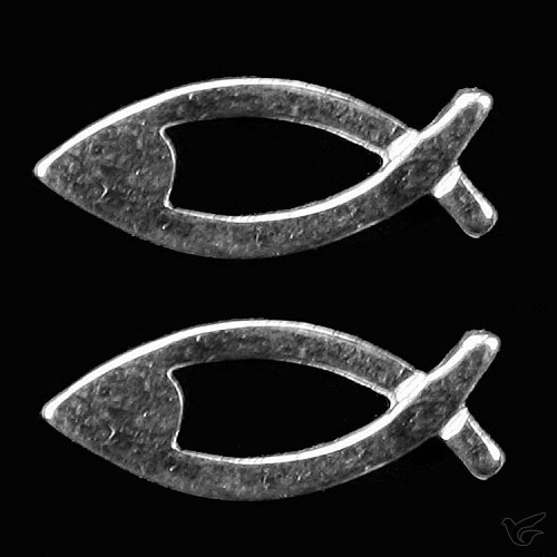 Productafbeelding: voorkant van Oorstekers zilver vis 15mm