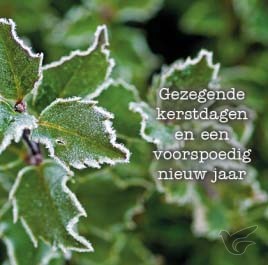 Productafbeelding: voorkant van Kerstkaart hulst gezegende kerstdagen