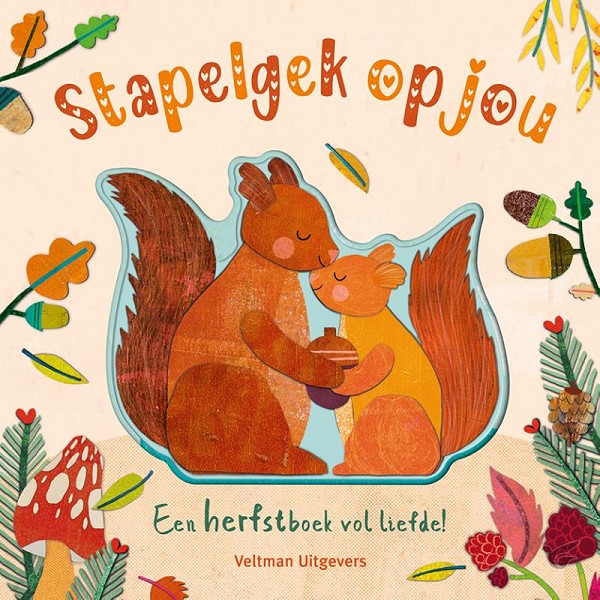 Productafbeelding: voorkant van Stapelgek op jou