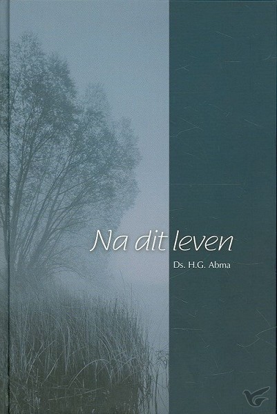Productafbeelding: voorkant van Na dit leven