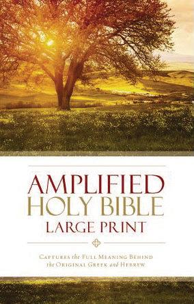 Productafbeelding: voorkant van Amplified Holy Bible - Thinline - LP
