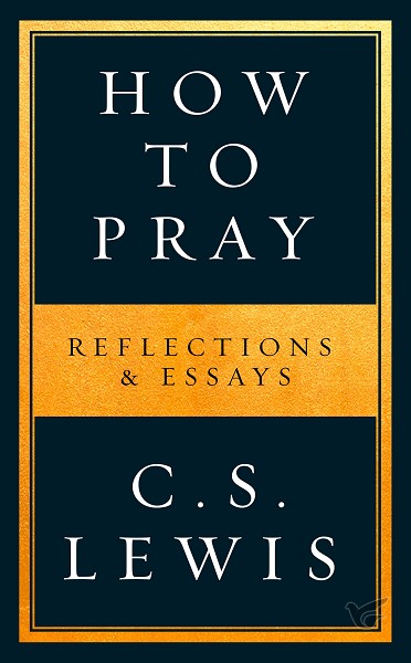Productafbeelding: voorkant van How to pray: reflections & essays