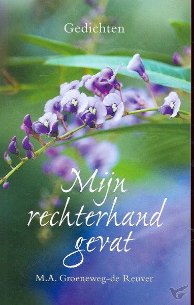 Productafbeelding: voorkant van Mijn rechterhand gevat
