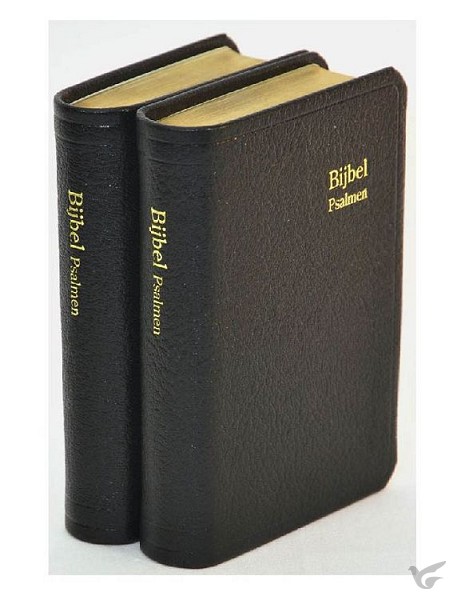 Productafbeelding: voorkant van Dameszakbijbel D32R RITMISCH leer goudsn