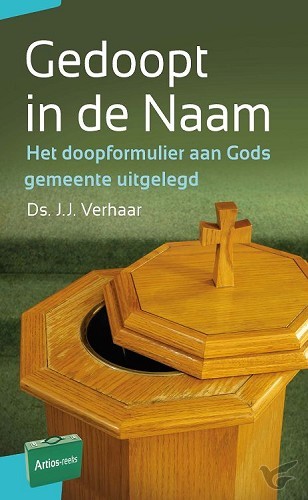 Productafbeelding: voorkant van Gedoopt in de Naam