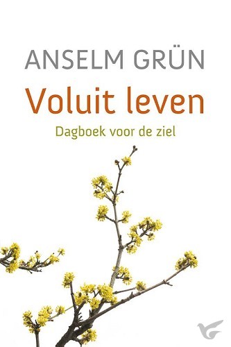 Productafbeelding: voorkant van Voluit leven