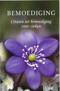 Productafbeelding: voorkant van Pareltje bemoediging