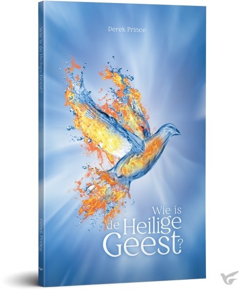 Productafbeelding: voorkant van Wie is de Heilige Geest?