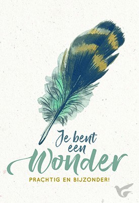Productafbeelding: voorkant van Wenskaart je bent een wonder