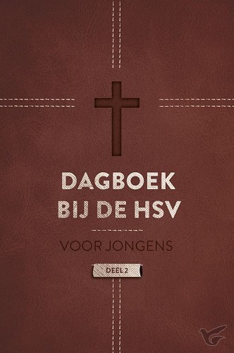 Productafbeelding: voorkant van Dagboek bij de hsv voor jongens 2