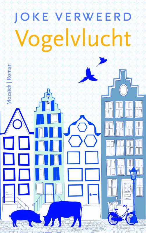 Productafbeelding: voorkant van Vogelvlucht
