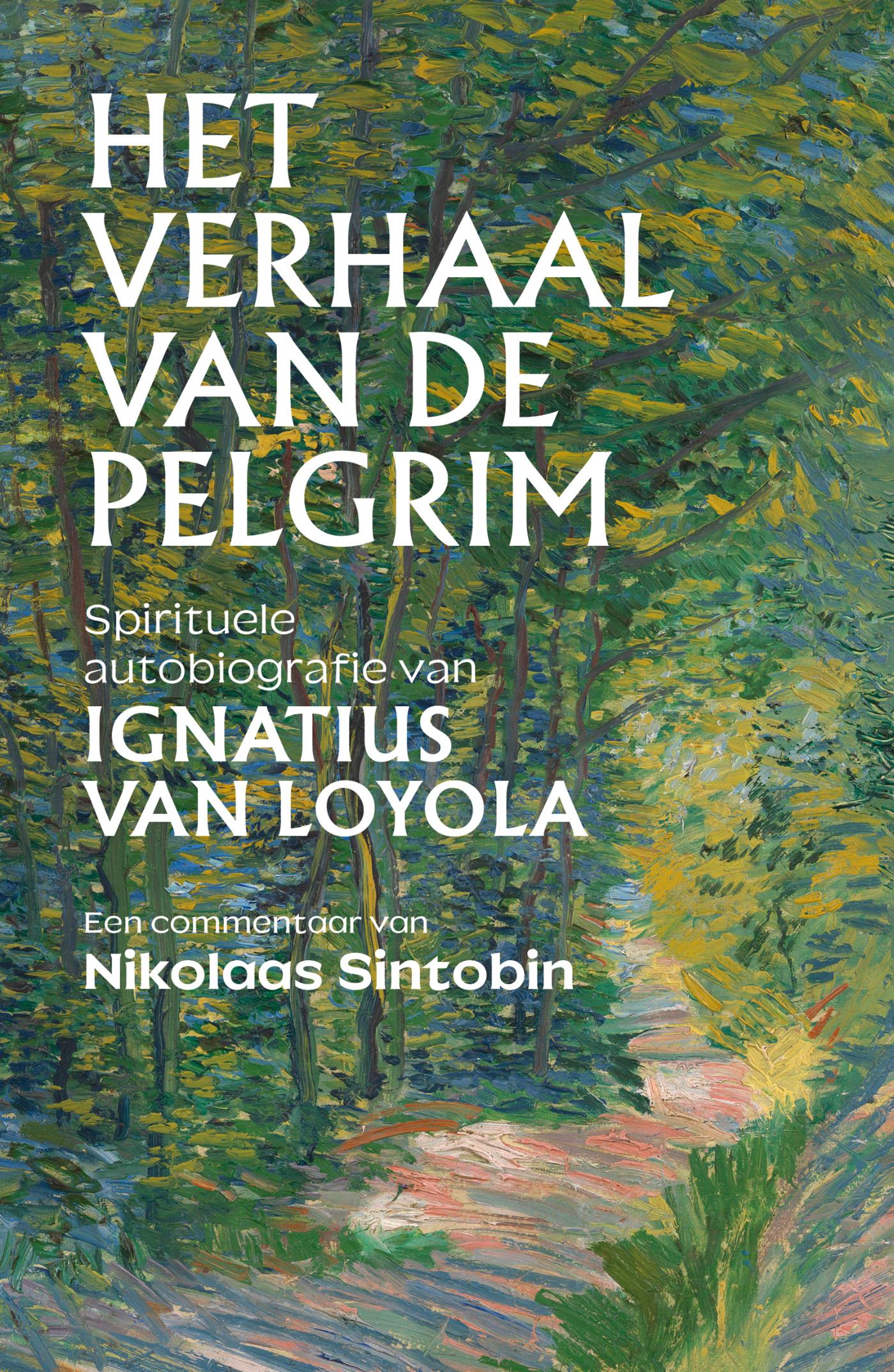 Productafbeelding: voorkant van Het verhaal van de pelgrim
