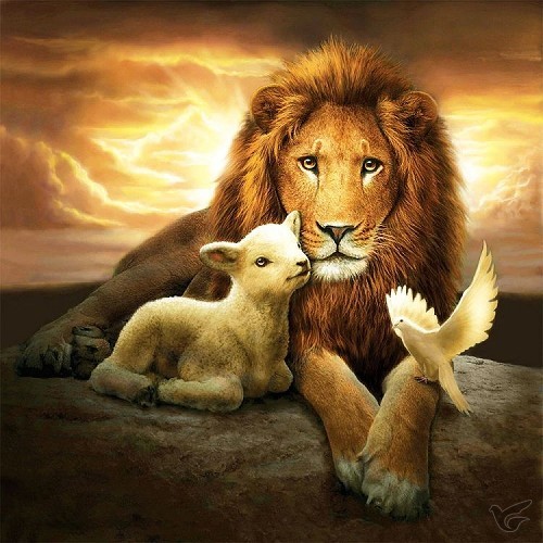 Productafbeelding: voorkant van Lion & the lamb 40x40cm square drill