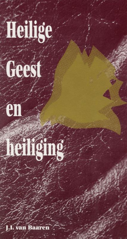 Productafbeelding: voorkant van De heilige geest en heiliging