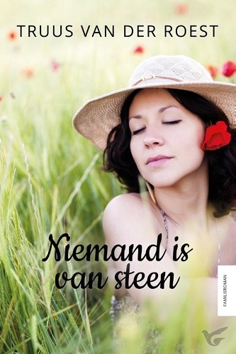 Productafbeelding: voorkant van Niemand is van steen
