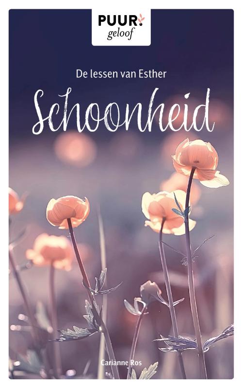 Productafbeelding: voorkant van De lessen van Esther