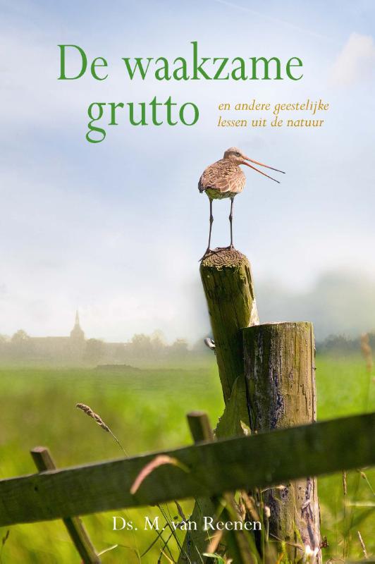 Productafbeelding: voorkant van De waakzame grutto