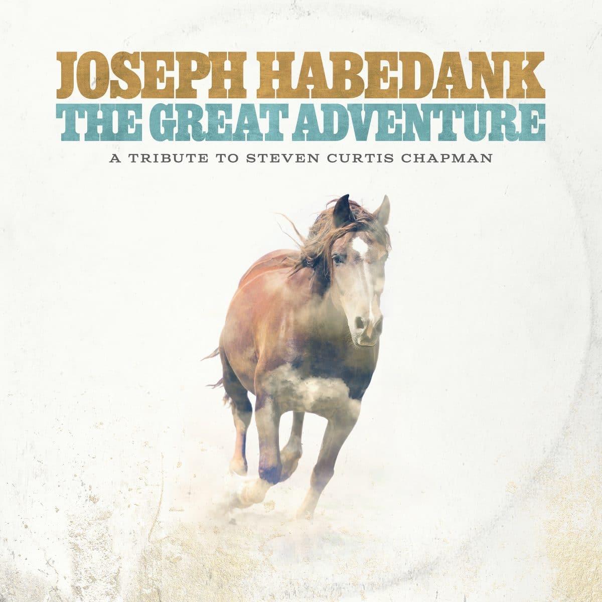 Productafbeelding: voorkant van The Great Adventure: A Tribute to Steven Curtis Chapman
