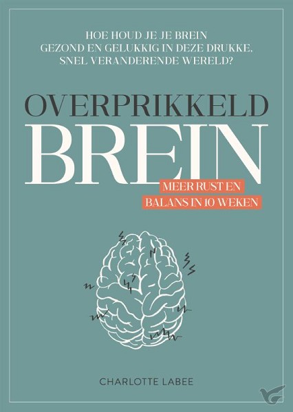 Productafbeelding: voorkant van Overprikkeld brein