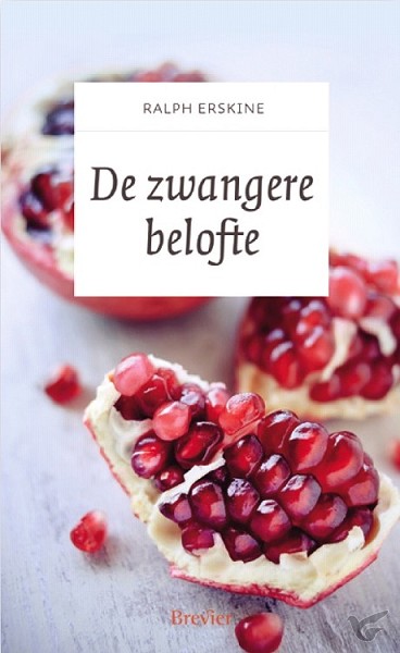 Productafbeelding: voorkant van Zwangere belofte