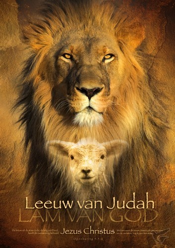 Productafbeelding: voorkant van Poster A3 leeuw van judah
