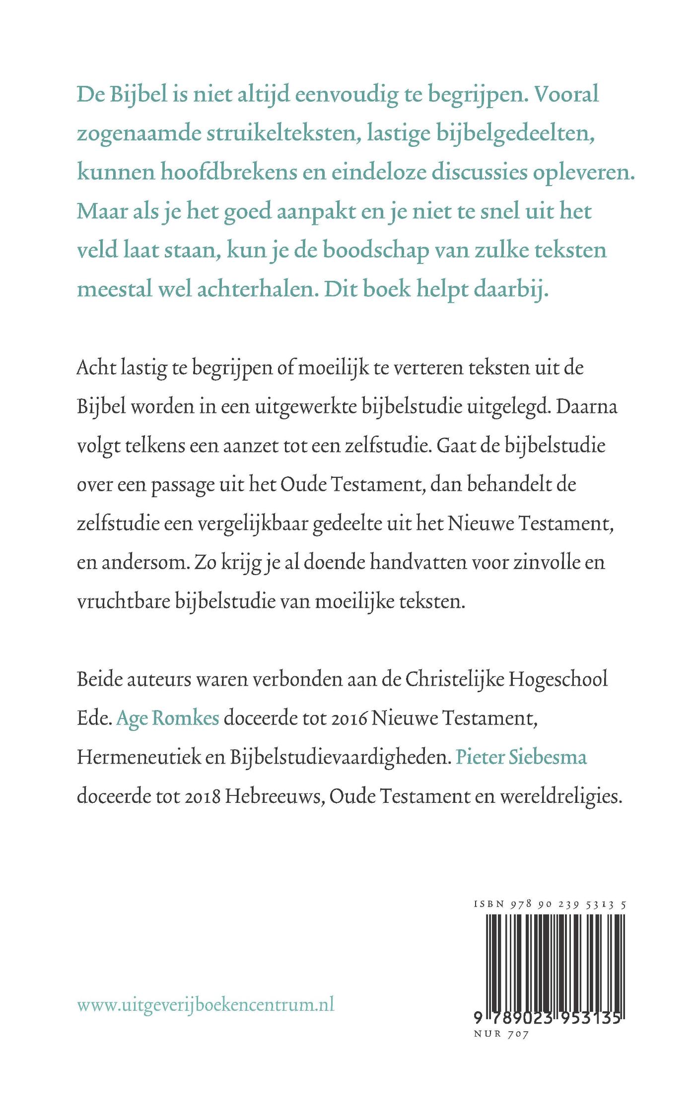 Productafbeelding: achterkant van Struikelblokken