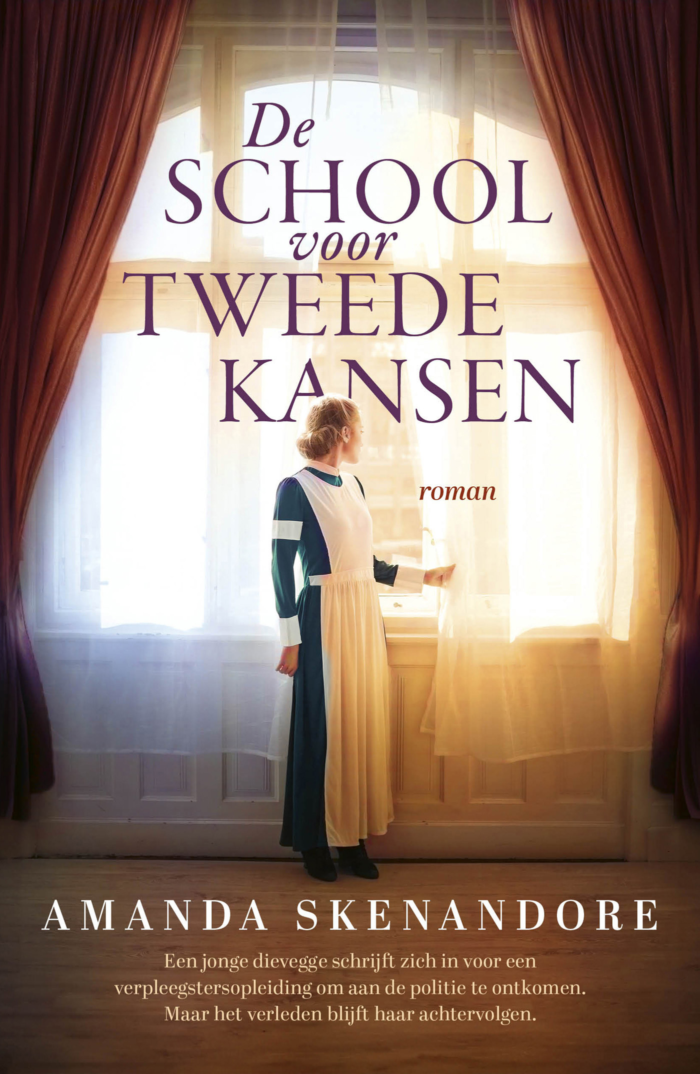 Productafbeelding: voorkant van De school voor tweede kansen