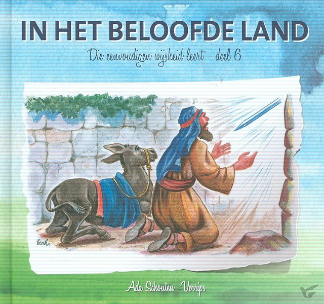 Productafbeelding: voorkant van Die eenvoudigen 06 in het beloofde land